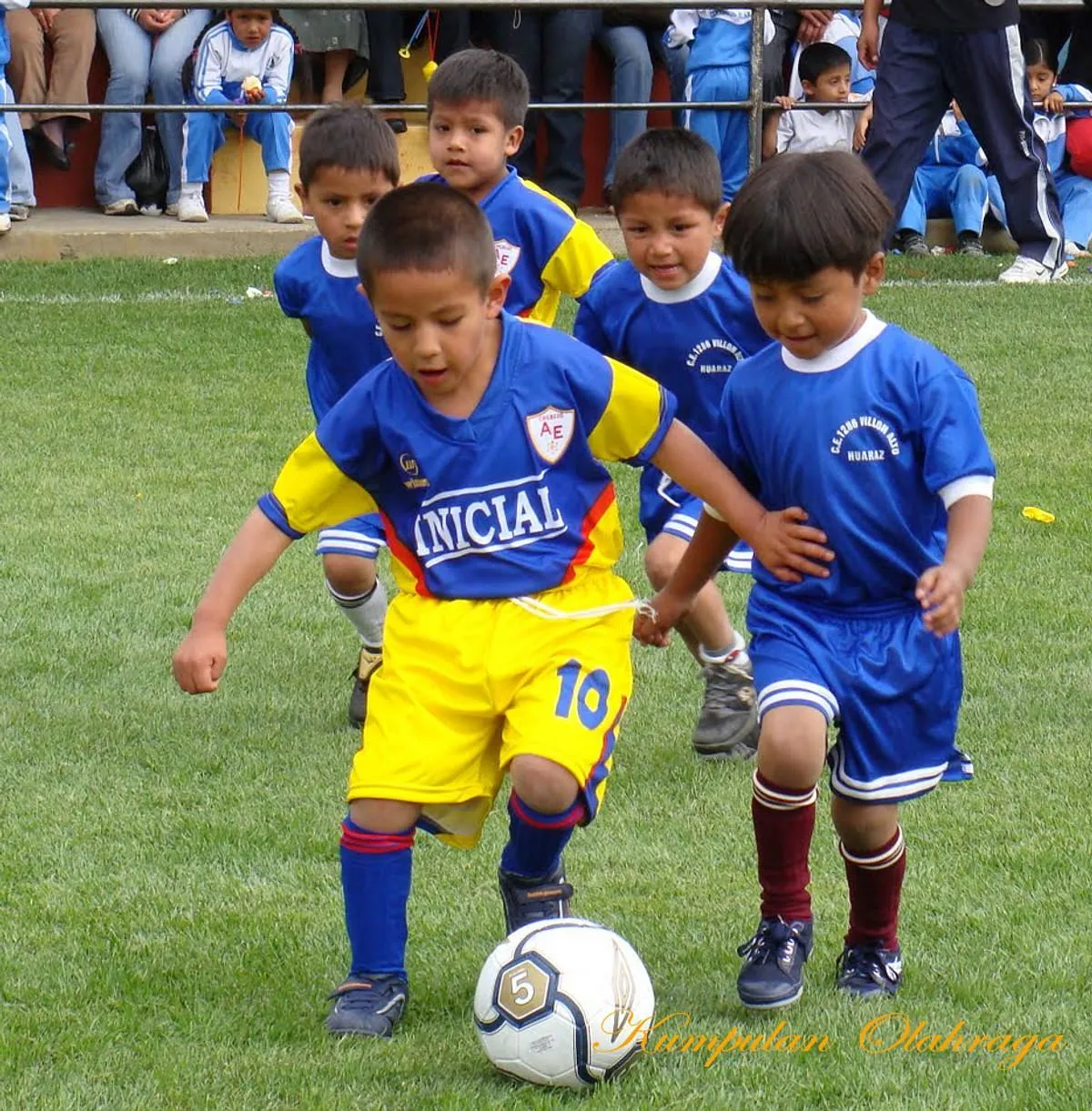 Membuka Potensi Anak Anda Dalam Dunia Motor Gp
