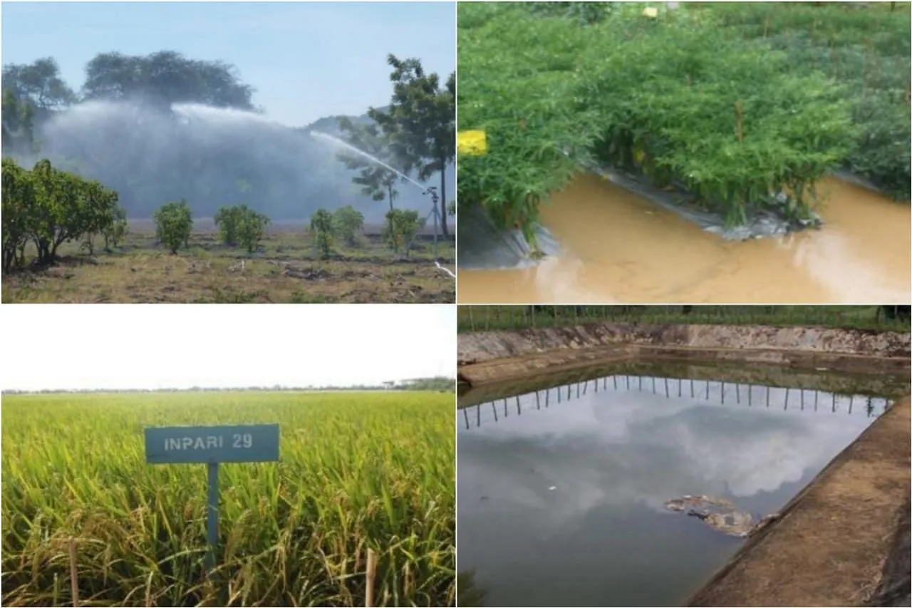 Mengawal Keberlanjutan Motogp Pembalap Dan Alam Semesta