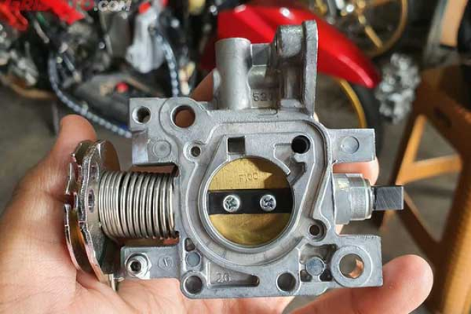 Throttle Body Motor